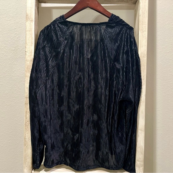 NWT EXPRESS Skimming Textured V-Neck Long Sleeve Pleated Top- Size L - Picture 7 of 9